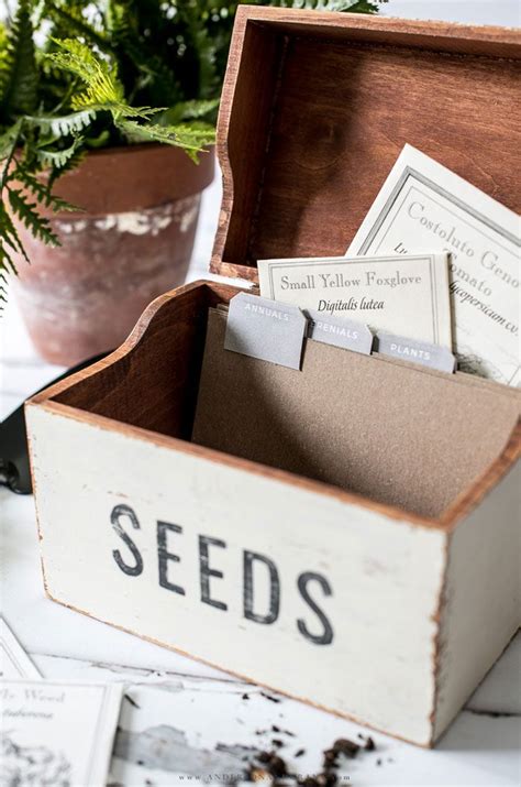 seed storage box with dividers